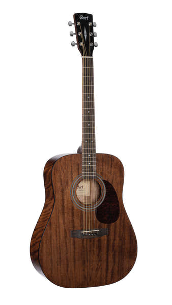 Chitarra Earth60M Naturale
