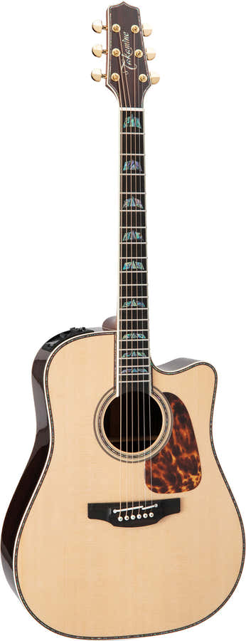 Dreadnought Cutaway Elettro P10DC
