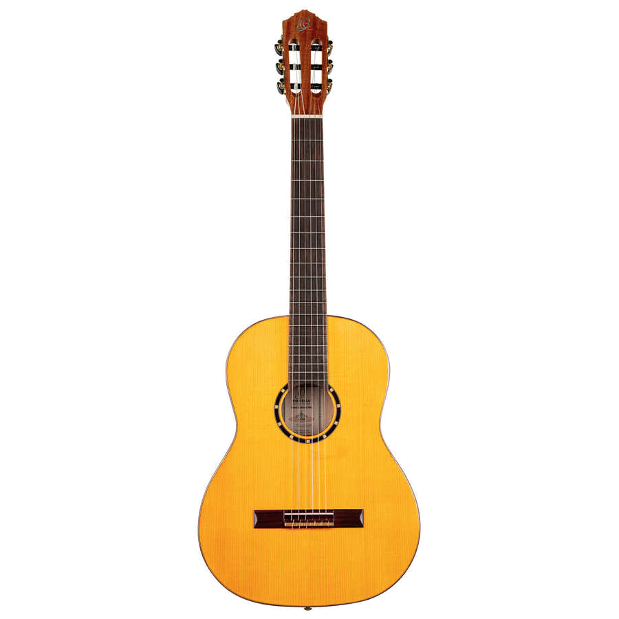 Chitarra Flamenco R170F