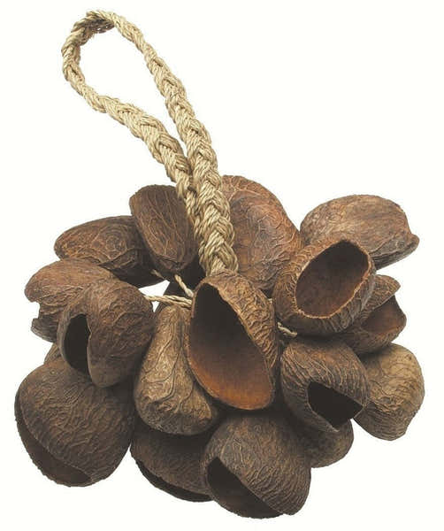 Toca SEED SHELL SHAKER T-SS