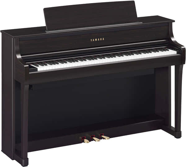 CLP875 Palissandro