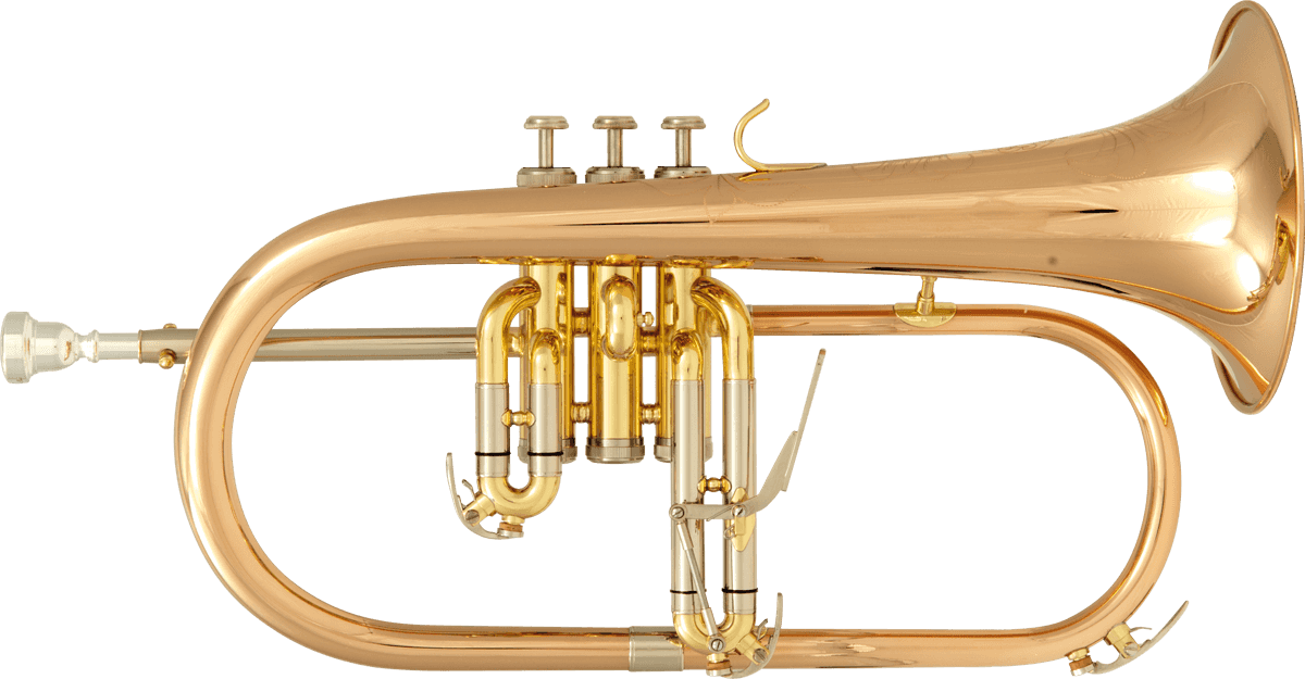 BU600 BB VERNICIATO