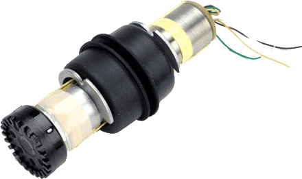 RPM 106 Capsula