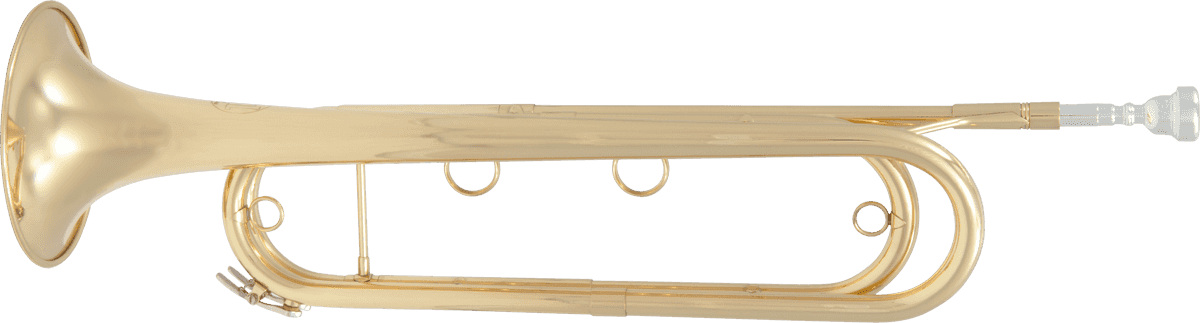 TROMBA DI CAVALLERIA MIB - OTTONE VERNICIATO - GIGBAG