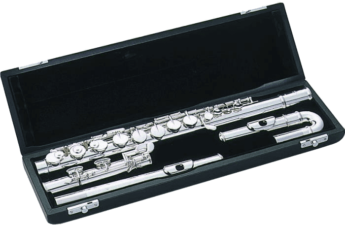 CUSTODIA TFCAU - FLAUTO CONTRALTO + 2 TESTE