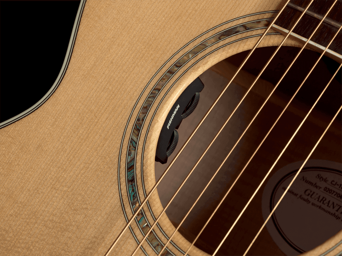 MATRIX INFINITY UKULELE PICKUP PREAMP SYSTEM