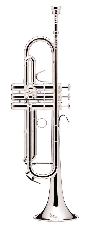 Prodige Sib Argentata (Canneggio Inverso) - BS210LR-2-0
