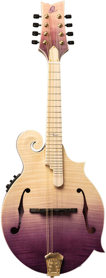 Americana Mandolino F-Style + Custodia in pelle Croco