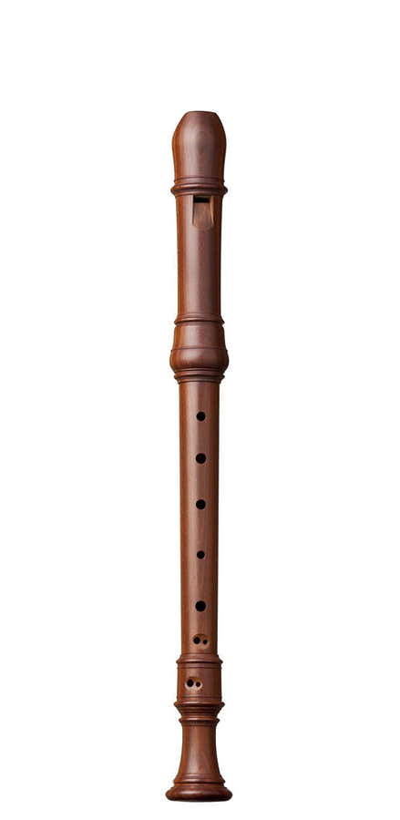 SUPERIO ALTO PLUM 2404