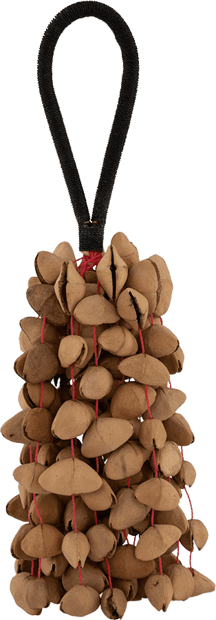 Pbshkenl Bird Kenari Nut 7 Shaker