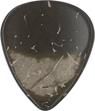GUITAR COCKLE COCONUT