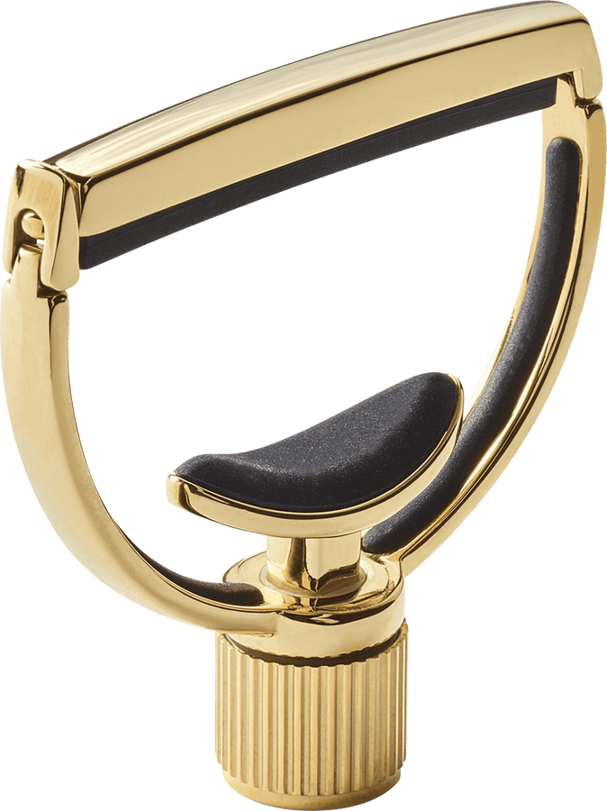 Heritage Chitarra Style 1 Standard Oro