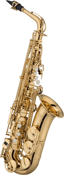 JAS700Q - CONTRALTO LACCATO - PRINCIPIANTE