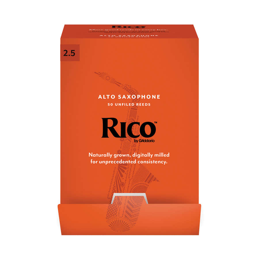 RJA0125-B50 - ANCE SASSOFONO ALTO RICO PAR - FORCE2 - BOX OF50