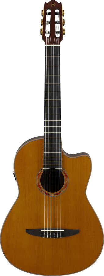 Ncx3 Cedro Naturale
