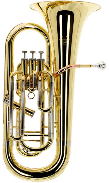 Woodbrass WEU200 - Si B verniciato