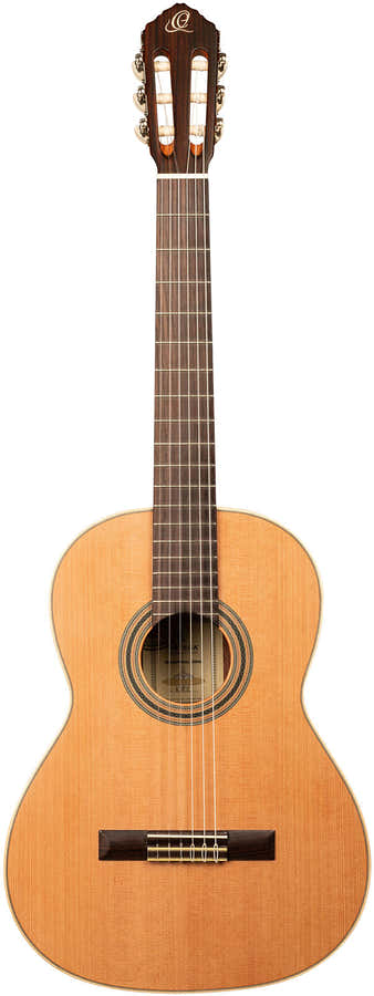 Traditional 4/4 6 LH + custodia morbida Pro