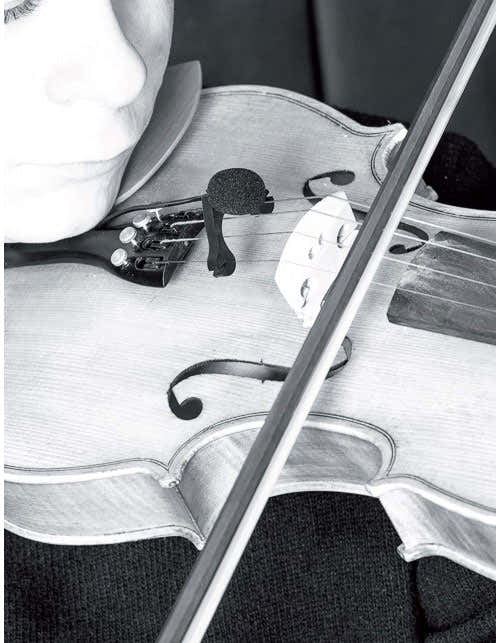 VL21C Lanen Violino - Viola