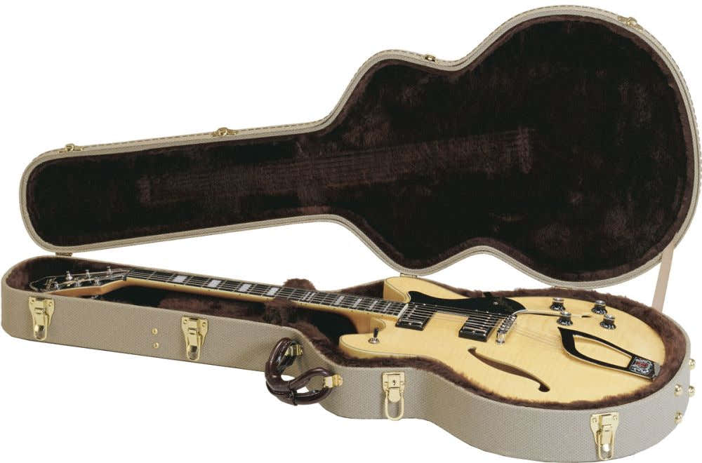 Custodia C55 Chitarra Viking