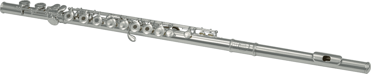 FLAUTO FL300R - STUDIO