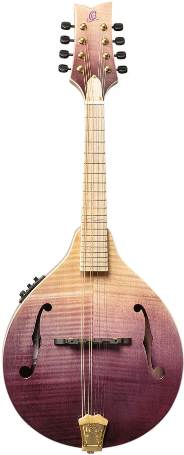 Americana Mandolino A-Style + custodia in pelle Croco