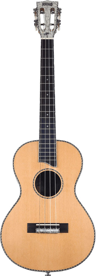 Baritono Elettrico Naturale Testa Perlata + Custodia