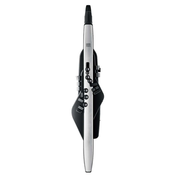 Roland Aerophone Pro AE-30