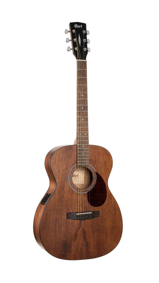 Chitarra Luce L60MF Naturale Fishman