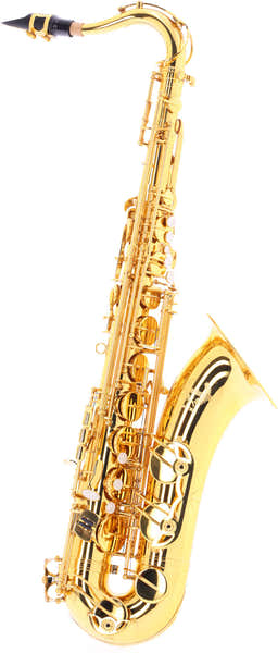WST300 - Tenore Sib Verniciato