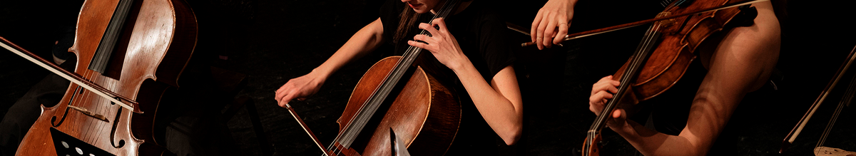 quartetto d archi