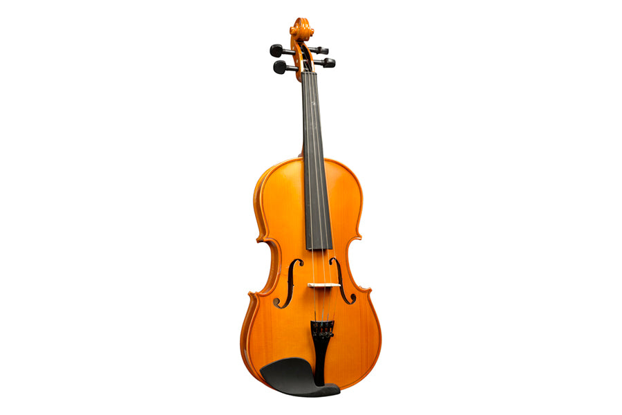 viole acustiche