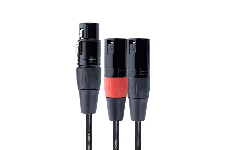 doppio xlr maschio