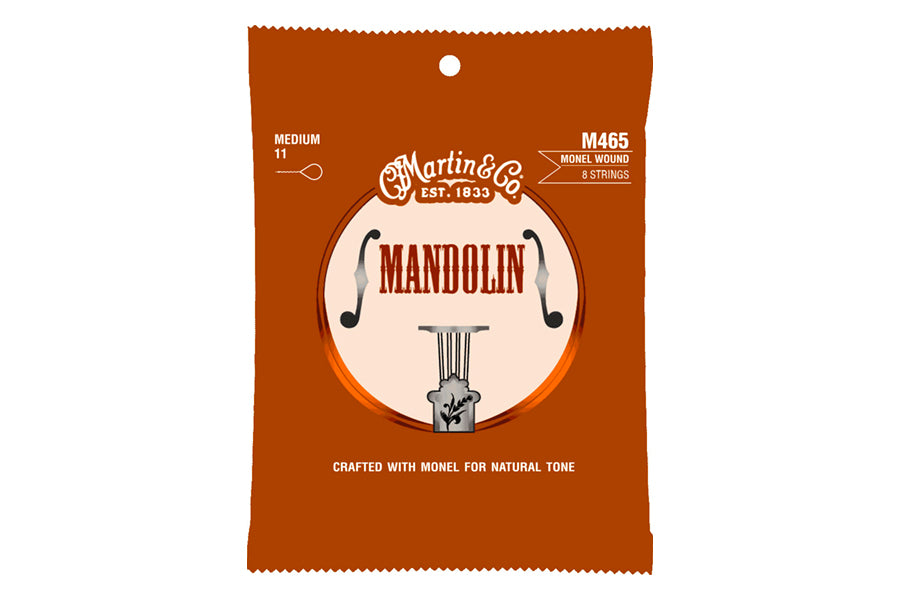 set di corde per mandolino