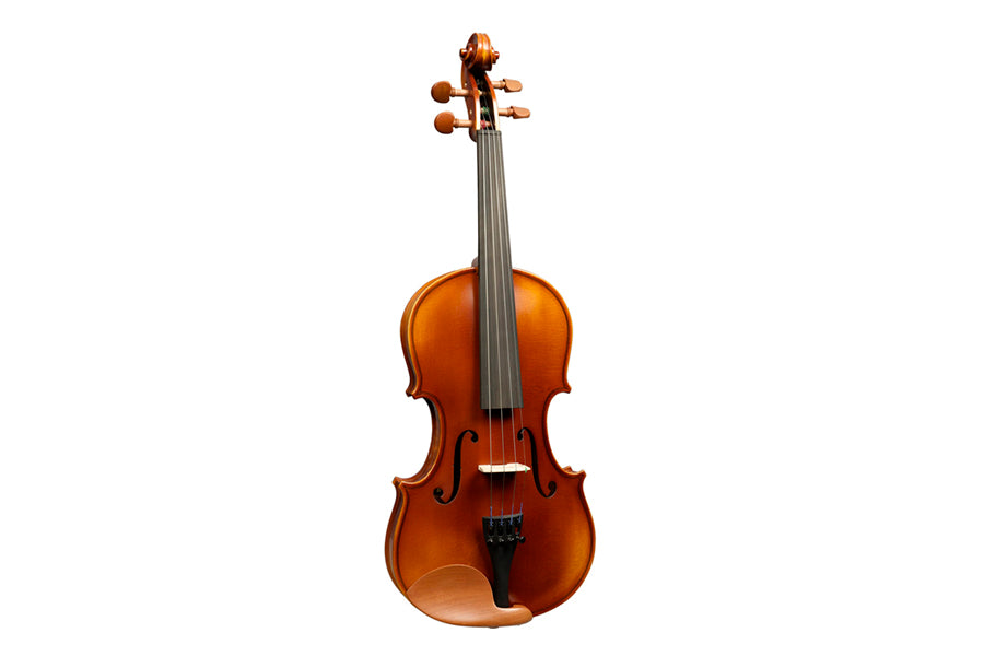 violini acustici