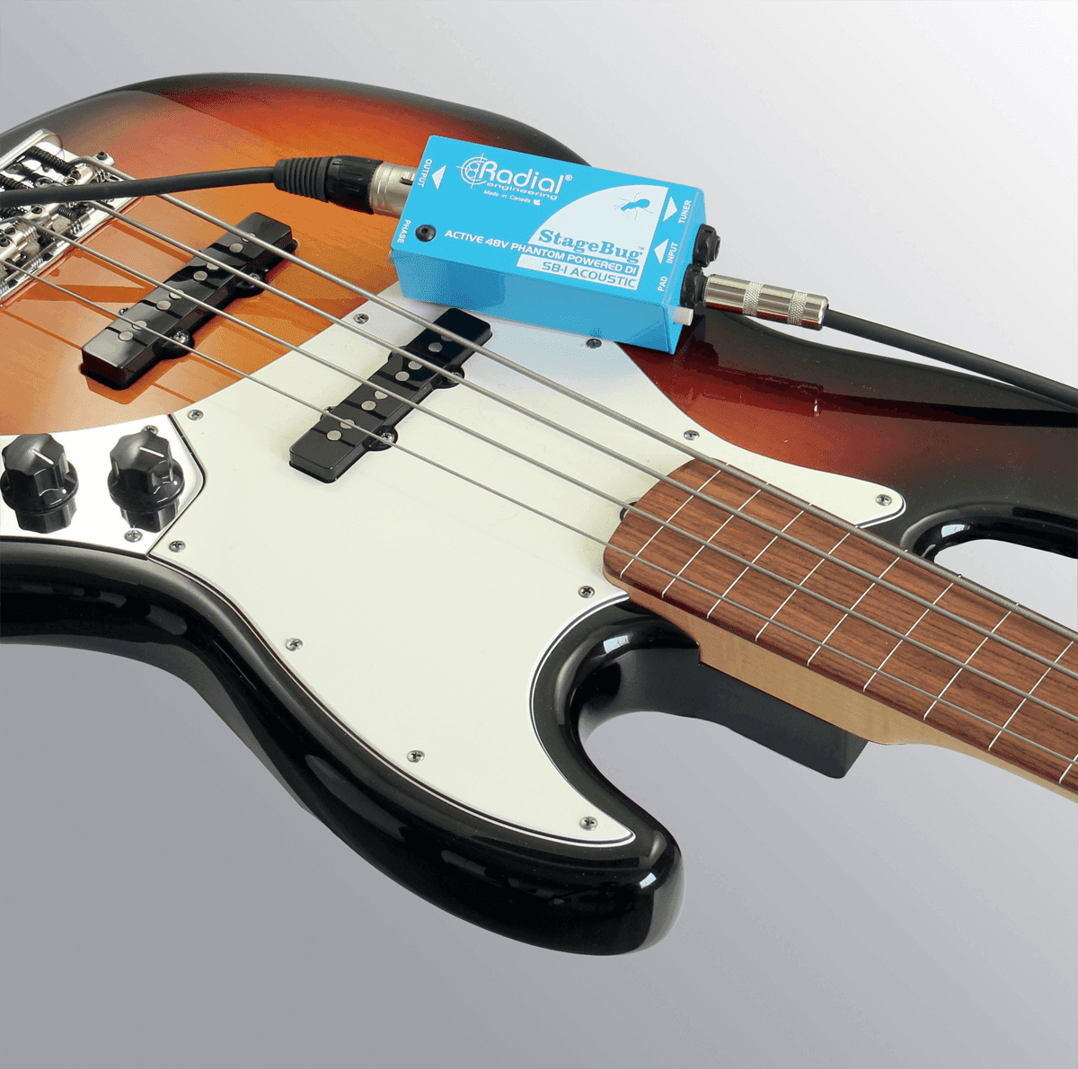 STAGEBUG-1 ACOUSTIC - DI ATTIVO