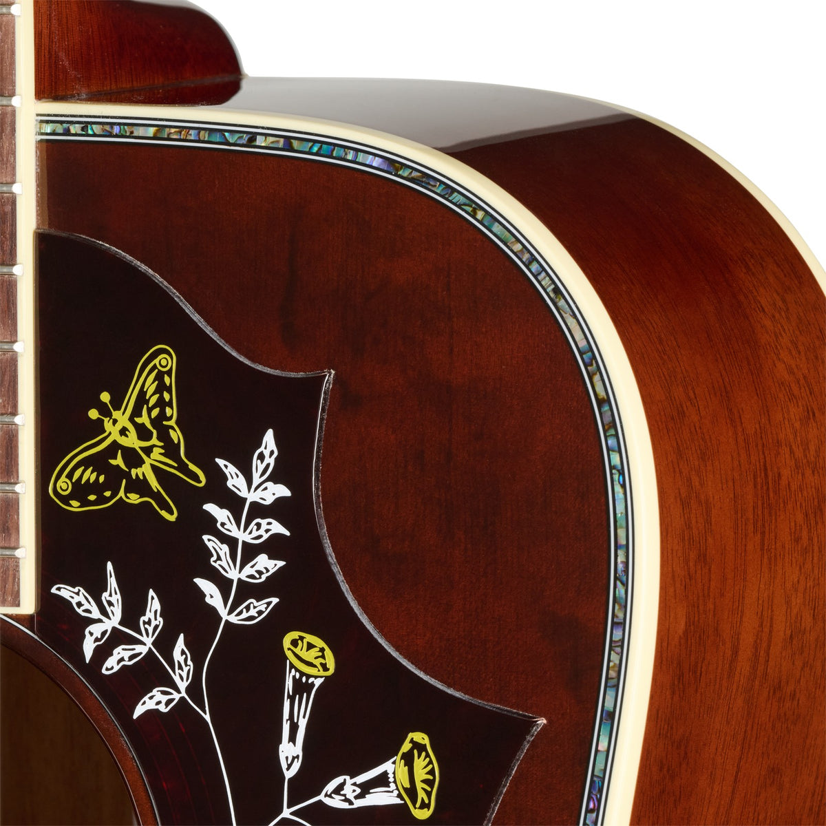 Hummingbird Anni. Edizione Limitata Cremona Burst Modern