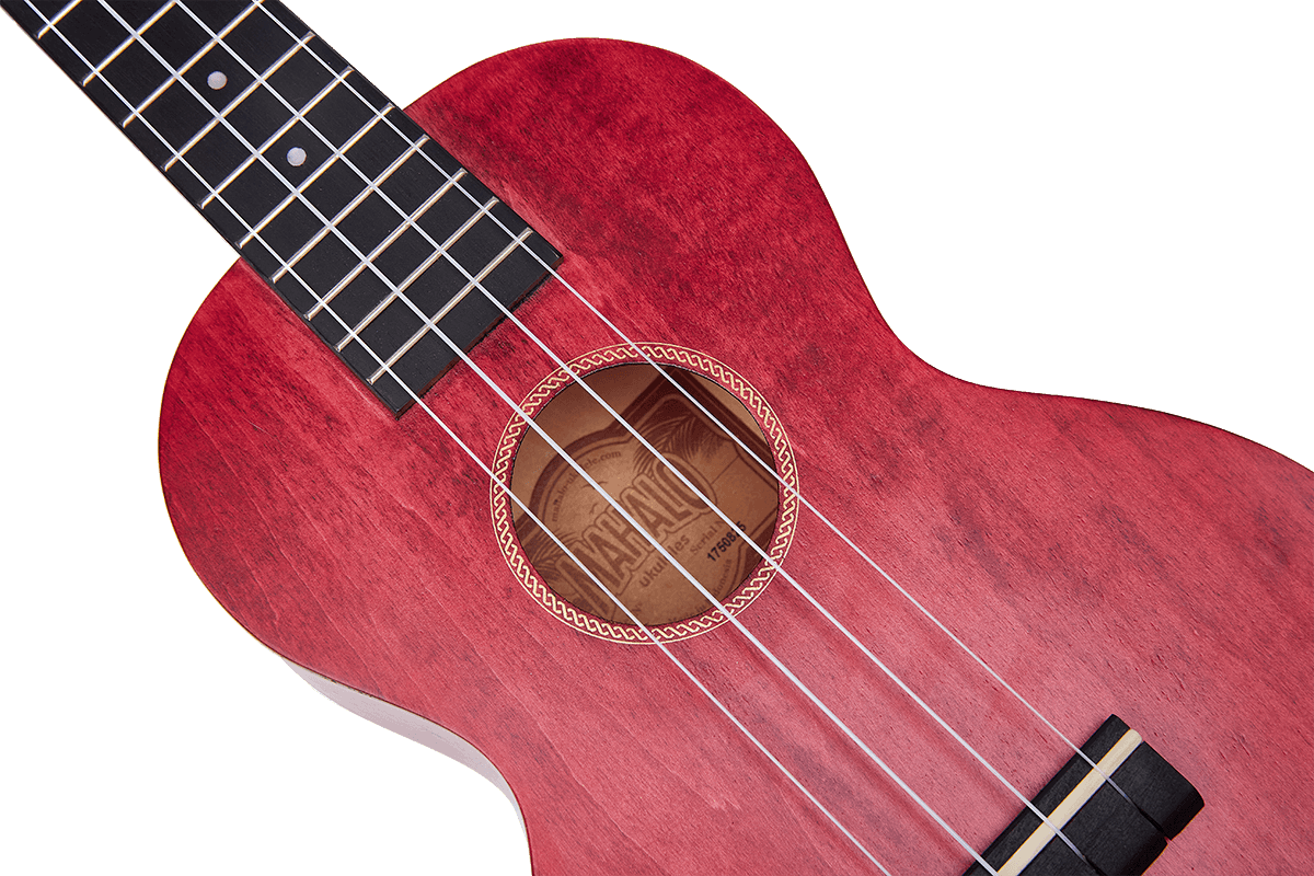 Ukulele Island Concert Berry Crush + Custodia