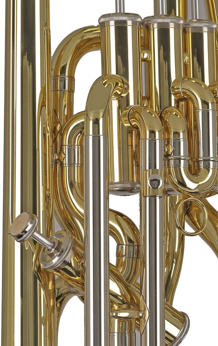 Ambition EP655 Silver Lacquered