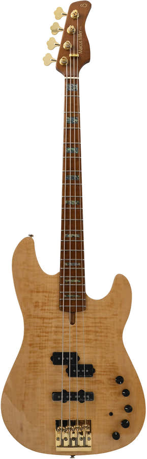 P10 Dx Alder-4 Nt Mn + Custodia