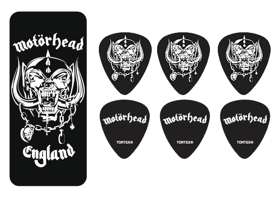 6 x Warpig Medio Scatola