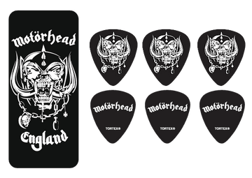 6 x Warpig Medio Scatola