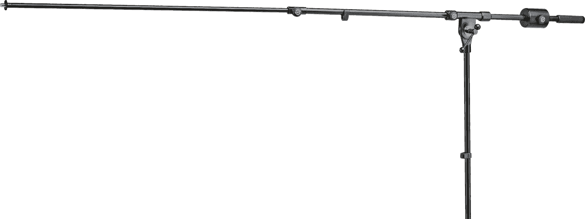 25530 Asta microfonica
