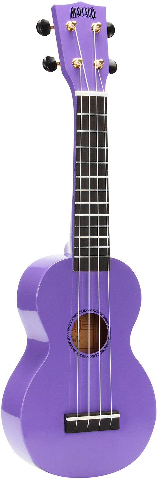 Rainbow Mr1 Purple