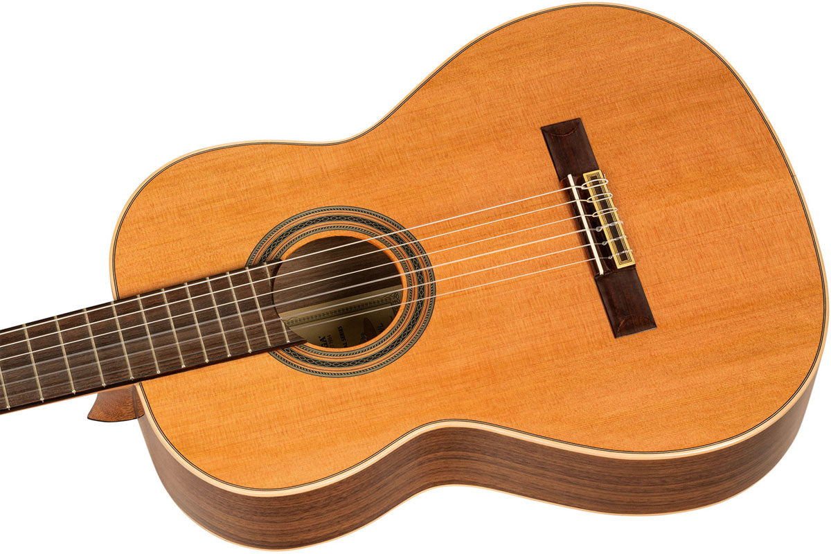 Traditional 4/4 6 LH + custodia morbida Pro