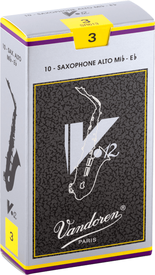 V12 3 - SR613