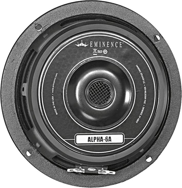 Altoparlante Midrange Magnete Standard 16,5Cm 100W 8 Ohm