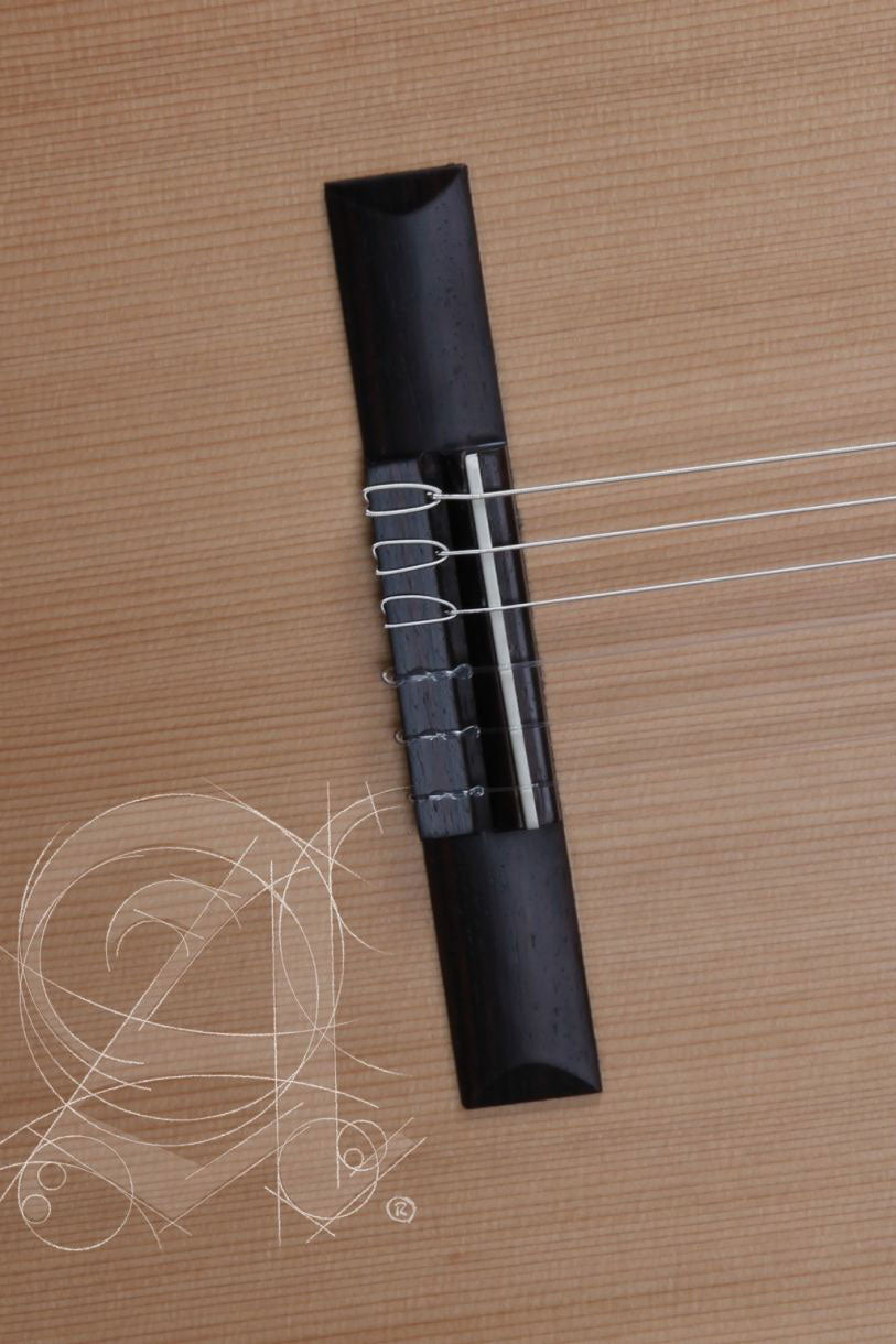 Student Z-Nature + 9738 25mm Gigbag