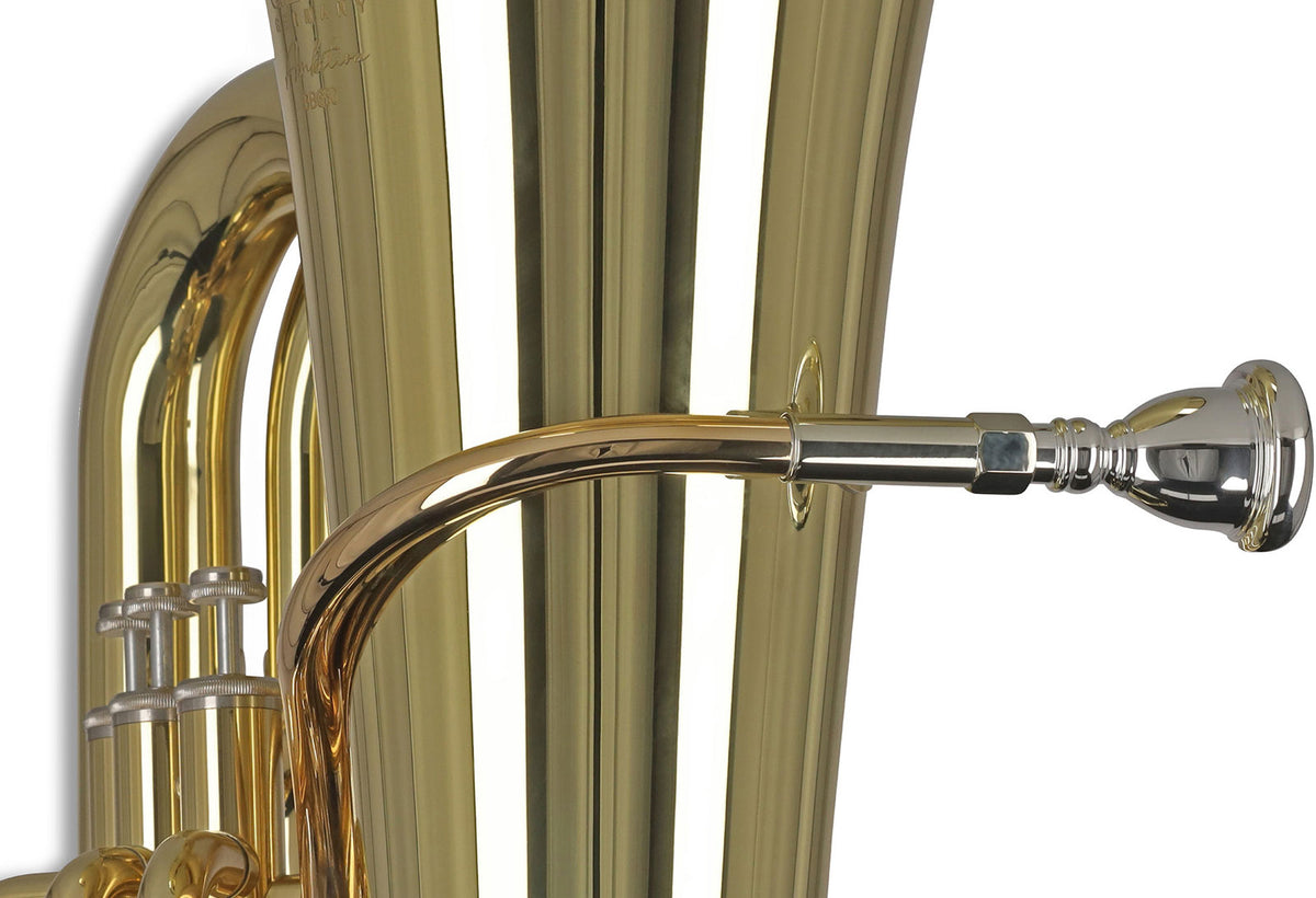 Ambition BB650 Contrabbasso Sib Verniciato