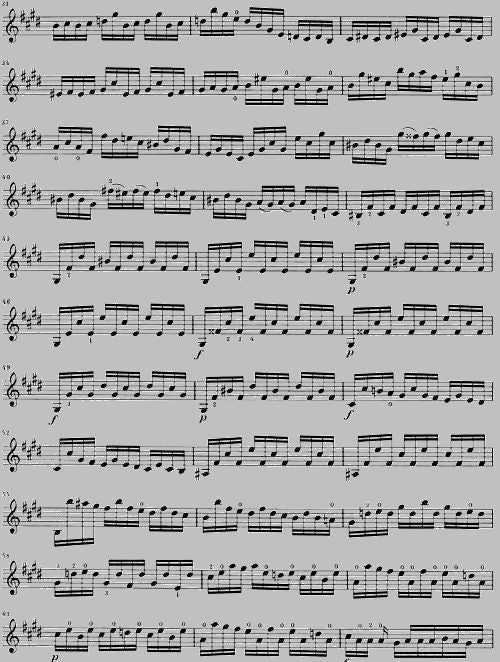 Bach J.S. - Sonate e partite BWV 1001-1006 per violino solo (versione trascritta e annotata)