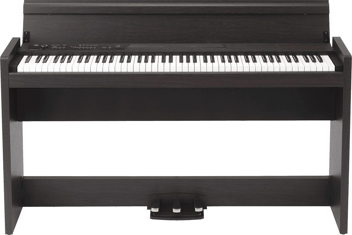 LP-380U Palissandro